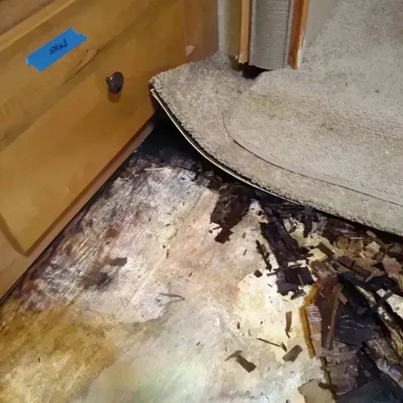 Wood Floor Water Damage in Oviedo, FL